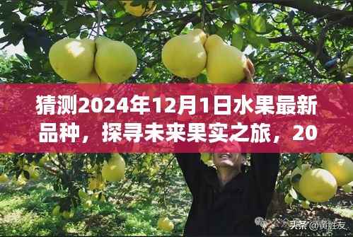 探寻未来果实之旅，揭秘2024年神秘水果新纪元与内心宁静之旅的启示