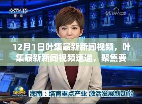 叶集最新新闻视频速递，聚焦时事动态，洞悉12月1日要点