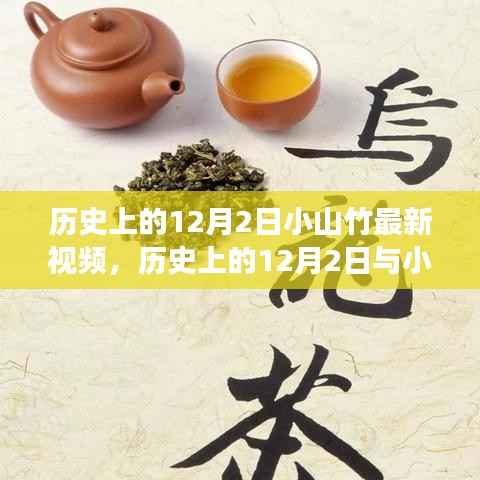 历史上的12月2日与小山竹最新视频，文化与科技的完美交融之夜