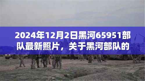 走马观花 第15页