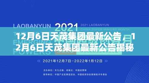 揭秘,天茂集团最新公告引领行业新动向,12月6日重磅发布