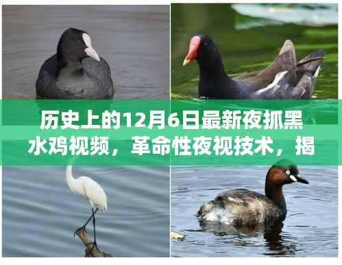 yarenqingzhi 第13页