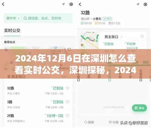 深圳探秘,追寻自然与内心宁静的公交之旅,实时公交查询指南(2024年)