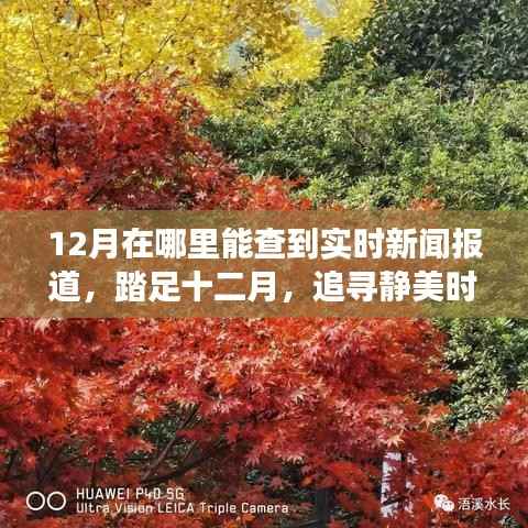 pangaojiegui 第14页