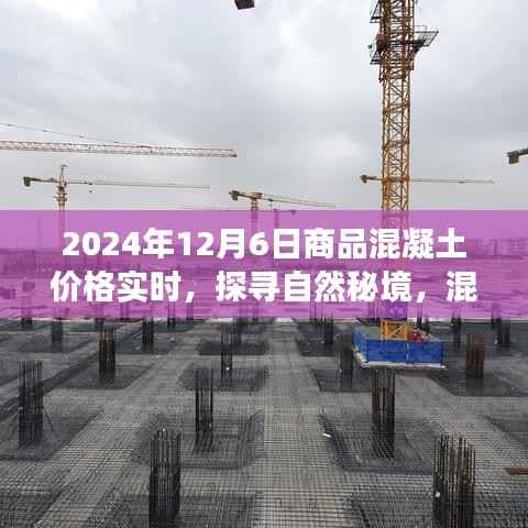 混凝土价格实时更新,探寻自然秘境,启程寻找内心的宁静与和谐之旅