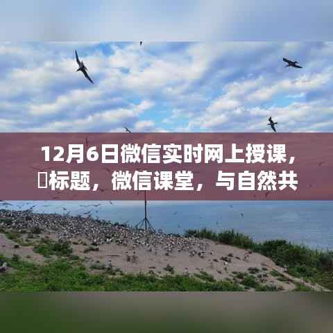 微信课堂,与自然共舞的心灵之旅启程,线上授课开启尘外心灵之旅