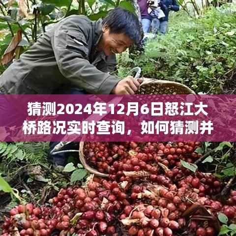 详细步骤指南,如何猜测并实时查询2024年12月6日怒江大桥路况实时查询系统操作指南