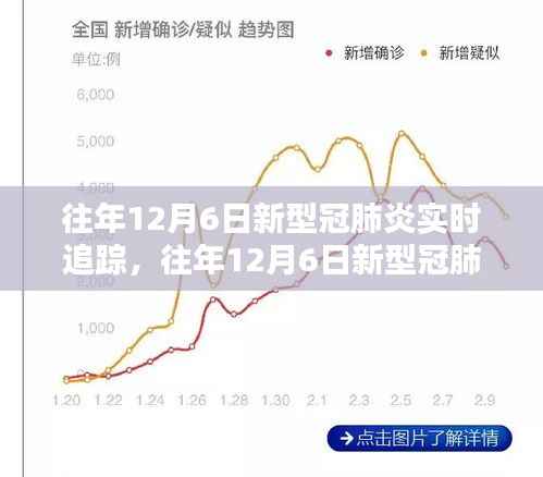 往年12月6日新型冠肺炎实时追踪步骤指南，初学者与进阶用户的必备指南