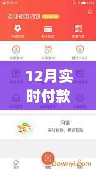 掌握正确姿势，12月实时查询余额的付款与余额查询指南