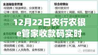 农行农银e管家收款码实时到账操作指南，从初学者到进阶用户的全方位指南