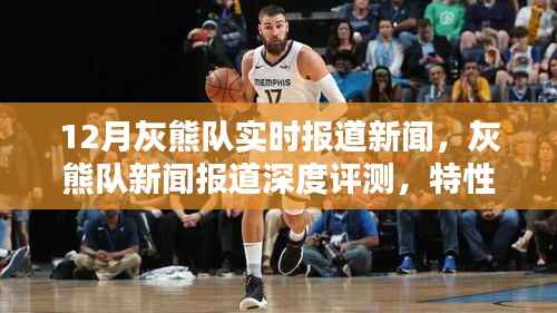 灰熊队深度报道,特性、体验、竞品对比及用户分析,12月最新新闻报道