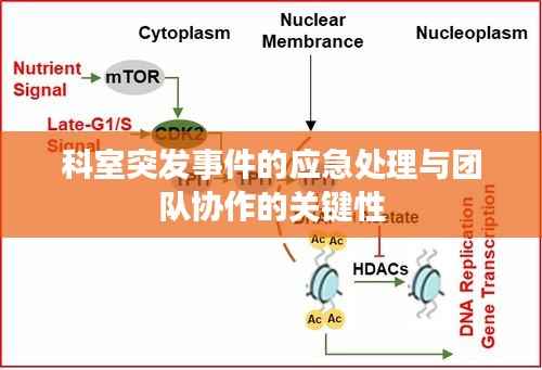 科室突发事件的应急处理与团队协作的关键性