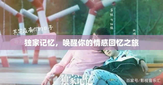 独家记忆，唤醒你的情感回忆之旅