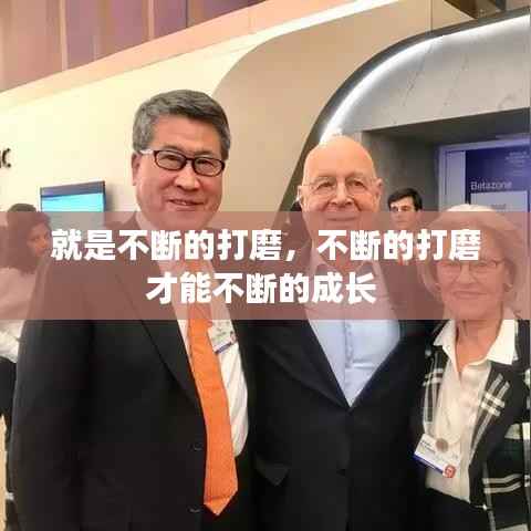 gangqiemuzhang 第11页