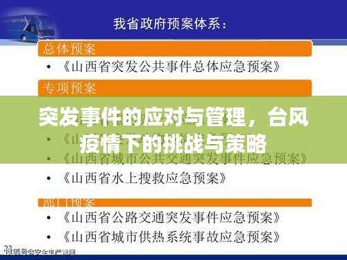 突发事件的应对与管理,台风疫情下的挑战与策略