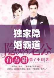 独家隐婚霸道总裁，隐婚霸道总裁小说 