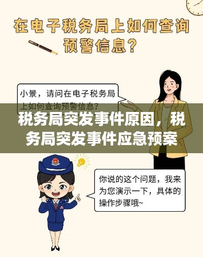 税务局突发事件原因，税务局突发事件应急预案 