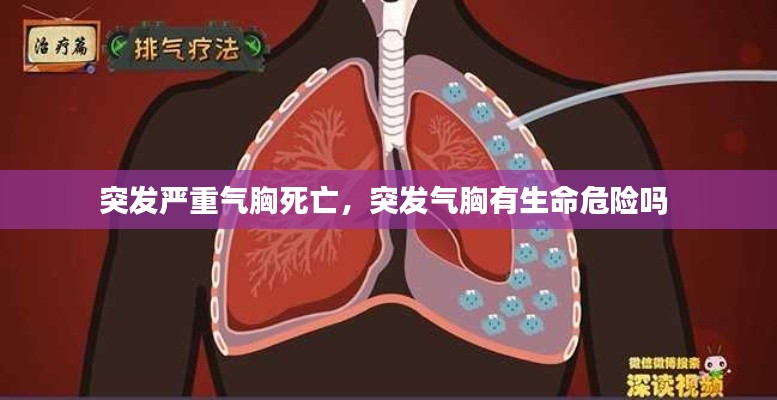 眉开眼笑 第11页