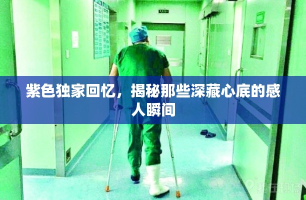 紫色独家回忆，揭秘那些深藏心底的感人瞬间