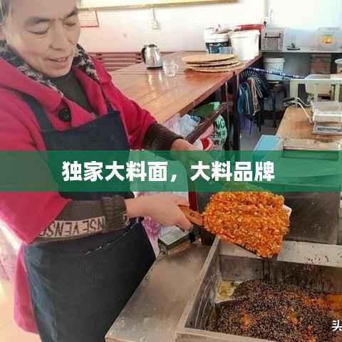 独家大料面,大料品牌