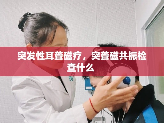 风驰电掣 第4页