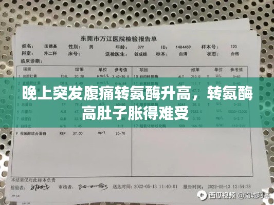 晚上突发腹痛转氨酶升高，转氨酶高肚子胀得难受 