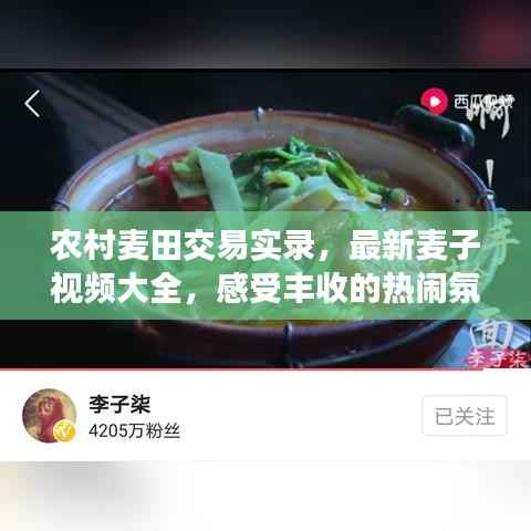农村麦田交易实录,最新麦子视频大全,感受丰收的热闹氛围