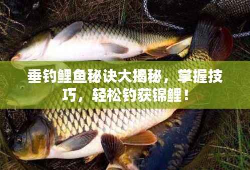 垂钓鲤鱼秘诀大揭秘，掌握技巧，轻松钓获锦鲤！