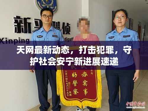 天网最新动态,打击犯罪,守护社会安宁新进展速递