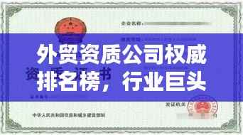 外贸资质公司权威排名榜,行业巨头实力与影响力的揭秘