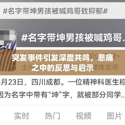 突发事件引发深度共鸣,悲痛之中的反思与启示