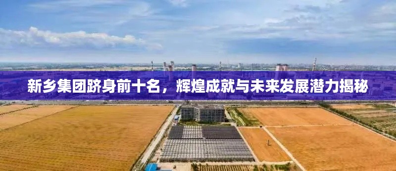 新乡集团跻身前十名,辉煌成就与未来发展潜力揭秘