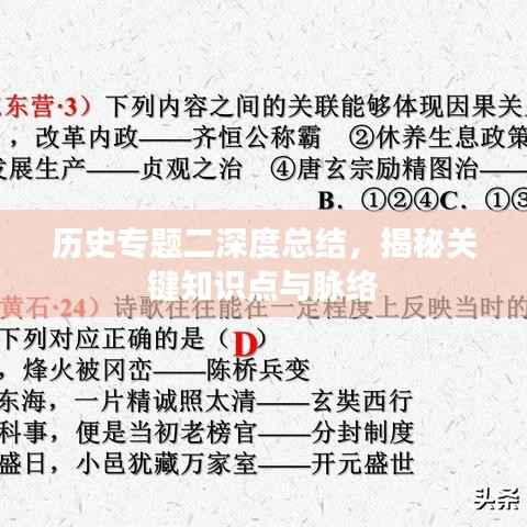 历史专题二深度总结,揭秘关键知识点与脉络