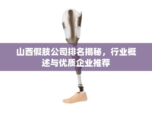 山西假肢公司排名揭秘,行业概述与优质企业推荐