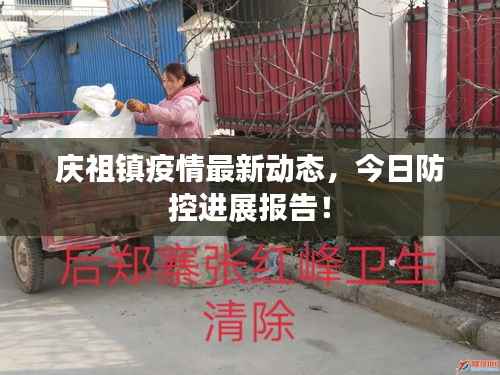 庆祖镇疫情最新动态,今日防控进展报告!