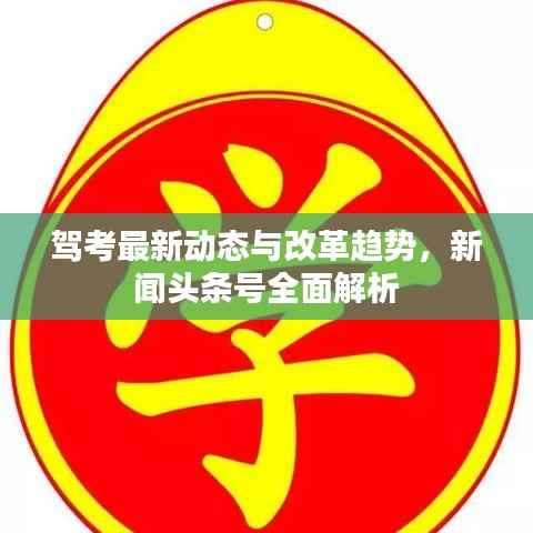 驾考最新动态与改革趋势,新闻头条号全面解析