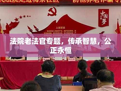 法院老法官专题，传承智慧，公正永恒