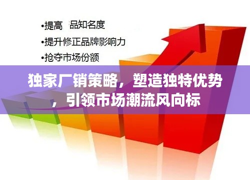 独家厂销策略，塑造独特优势，引领市场潮流风向标