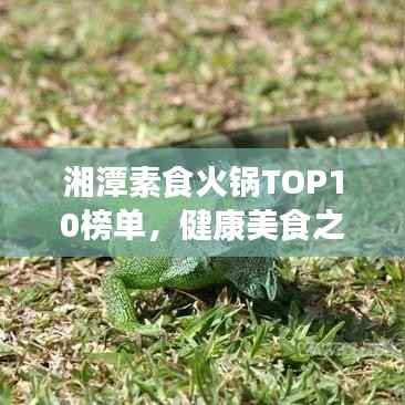 湘潭素食火锅TOP10榜单,健康美食之旅不容错过