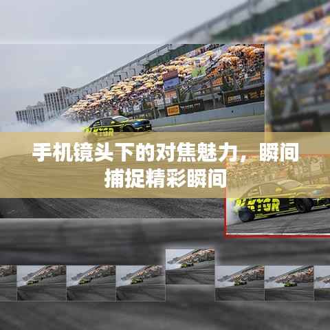 手机镜头下的对焦魅力，瞬间捕捉精彩瞬间