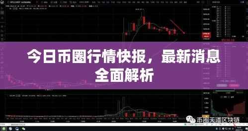 今日币圈行情快报，最新消息全面解析