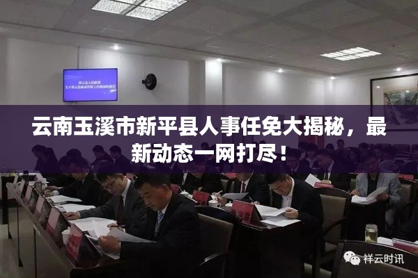 云南玉溪市新平县人事任免大揭秘，最新动态一网打尽！