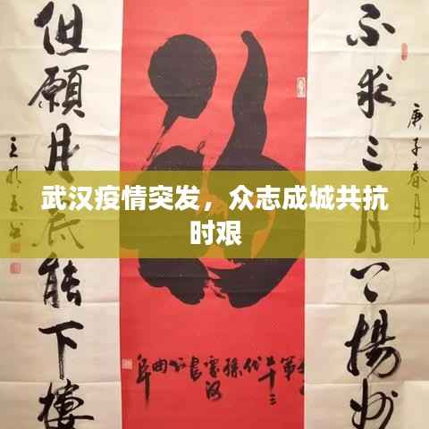 武汉疫情突发,众志成城共抗时艰