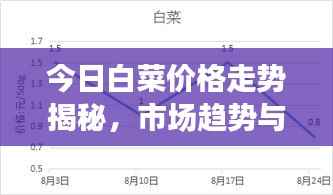 今日白菜价格走势揭秘,市场趋势与消费者反应观察