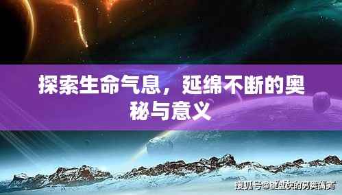 探索生命气息,延绵不断的奥秘与意义