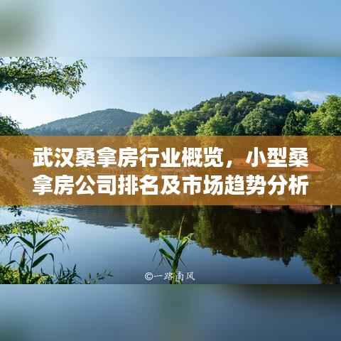武汉桑拿房行业概览，小型桑拿房公司排名及市场趋势分析