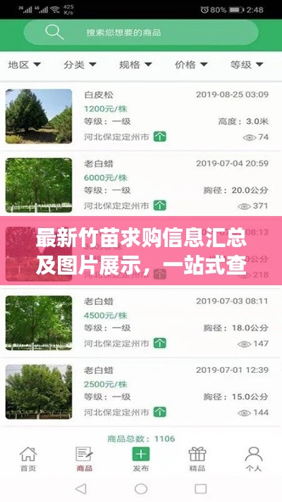 最新竹苗求购信息汇总及图片展示，一站式查找竹苗资源