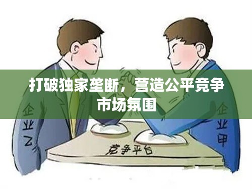 打破独家垄断,营造公平竞争市场氛围