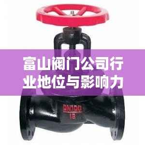 富山阀门公司行业地位与影响力揭秘，排名及影响力不容小觑