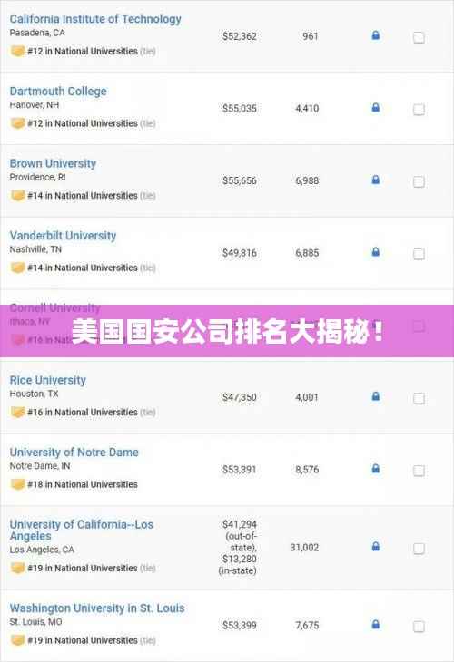 美国国安公司排名大揭秘!
